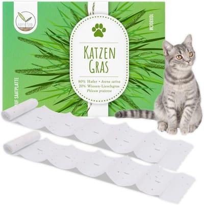 Thijox - Kattengras Zaden Zaaiband 80 x 10 cm - Spijsverteringsbevorderend Kattengras voor Alle Katten - Gezond en Natuurlijk Kruid voor Binnen en Bui
