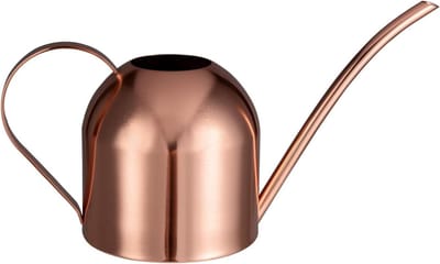 32oz/1L Roestvrij Staal Water Gieter Met Lange Uitloop Voor Kamerplanten - Rose Goud