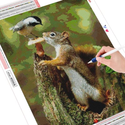 Peinture de diamant d'écureuil, broderie d'animaux, mosaïque faite à la main, décoration de maison, nouvel arrivage 30X40CM