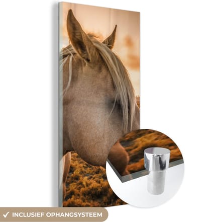MuchoWow® Glasschilderij 20x40 cm - Schilderij acrylglas - Paard - Dieren - Portret - Foto op glas - Schilderijen