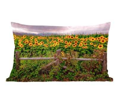 Sierkussens - Kussentjes Woonkamer - 50x30 cm - Zonnebloem - Bloemen - Planten