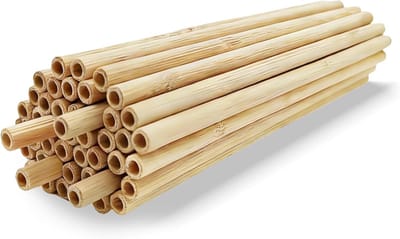 Bamboe Tubes van 10 cm voor Insectenhotel, Bijenhuis en Insectenhuis - 44 Stuks Vulmateriaal voor Bijen en Natuurlijke Habitat