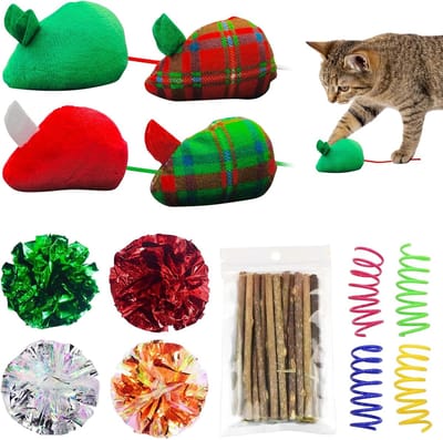 Katten Speelgoed Set - Speeltjes voor Poes - Interactief Spelen - Met Kattenkruid - 22 Delig