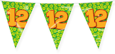 LUQ – Vlaggenlijn Happy Party 12 Jaar – Veelkleurig – 10 m Luxe Verjaardag Feest Versiering – Slinger – Direct Ophangen