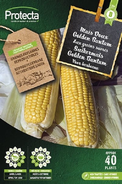 Protecta Groente zaden: Suikermais Golden Bantam XXL