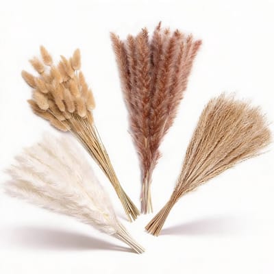 Pampas Pluimen 110 Stuks Natuurlijke Droogbloemen – Pampasgras Pluimen Met Volle en Zachte Uitstraling – Decoratieve Accessoires Stijlvol Voor Vazen en Huisdecoratie | Ideaal Voor Moderne en Boho Inrichting