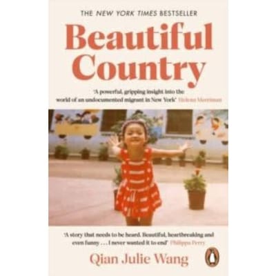 Beautiful Country - Qian Julie Wang