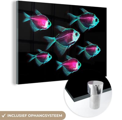 MuchoWow® Glasschilderij 120x80 cm - Schilderij acrylglas - Vis - Paars - Blauw - Foto op glas - Schilderijen