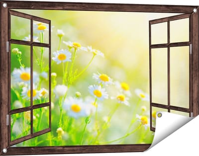 Gards Tuinposter Doorkijk Witte Kamille Bloemen met Zonneschijn - 90x60 cm - Tuindoek - Tuindecoratie - Wanddecoratie buiten - Tuinschilderij