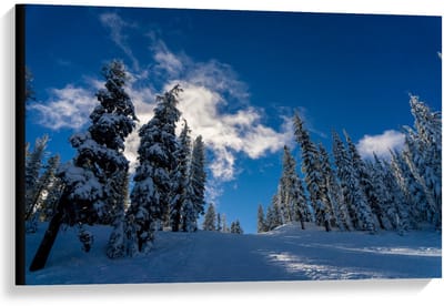 Canvas  - Blauwe Lucht met Besneeuwde Bomen - 90x60cm Foto op Canvas Schilderij (Wanddecoratie op Canvas)