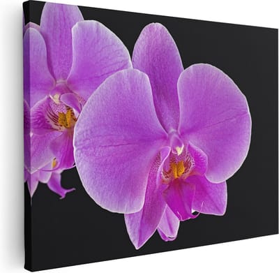 Artaza Canvas Schilderij Bloemen - 40x30 cm - Klein - Wanddecoratie Orchidee - Muurdecoratie Bloem - Kamer Accessoires Roze