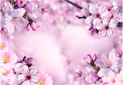 Fotobehangkoning - Behang - Vliesbehang - Fotobehang Lentebloemen - Bloemen - Say Hello to Spring - 150 x 105 cm