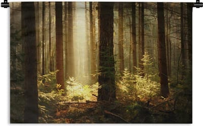 Wandkleed Bos - Bos met zonnestralen Wandkleed katoen 150x100 cm - Wandtapijt met foto