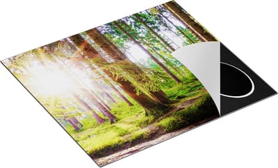 Chefcare Inductie Beschermer Bos met Zon tussen de Bomen - 60x50 cm - Afdekplaat Inductie - Kookplaat Beschermer - Inductie Mat