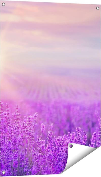 Gards Tuinposter Bloemenveld met Paarse Lavendel - 60x90 cm - Tuindoek - Tuindecoratie - Wanddecoratie buiten - Tuinschilderij