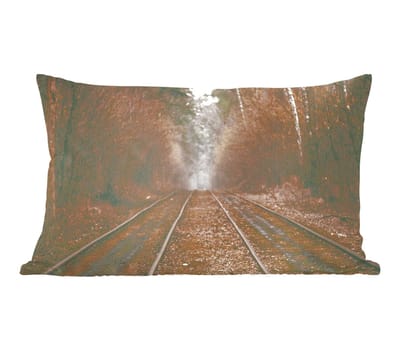 Sierkussens - Kussentjes Woonkamer - 50x30 cm - Treinspoor - Pad - Bos - Boom