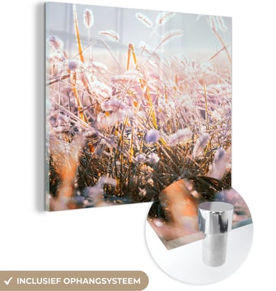 MuchoWow® Glasschilderij 50x50 cm - Schilderij acrylglas - Gras - Zon - Winter - Sneeuw - Foto op glas - Schilderijen