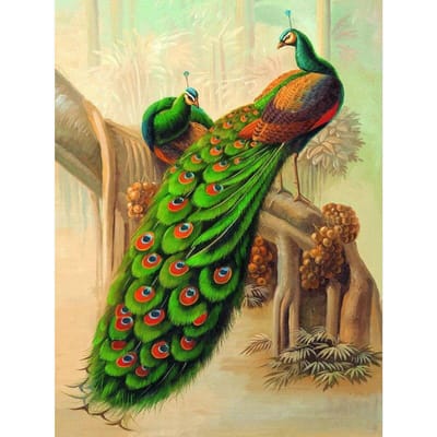 Diamond Painting Pauw Mooi dier Handgemaakte DIY Diamond Painting Mozaïek Kruisborduurwerk 20X30CM beige