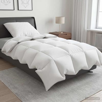 vidaXL - 90% - Ganzendons - Deken - Set - FULDA - 2 - st - 135 - x - 200 - cm - Alle - seizoenen