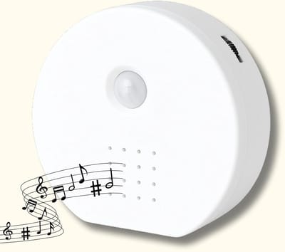 Nature Soundbox met Bewegingssensor - 6 Geluiden Vogelgezang Water Kampvuur Jungle Regen