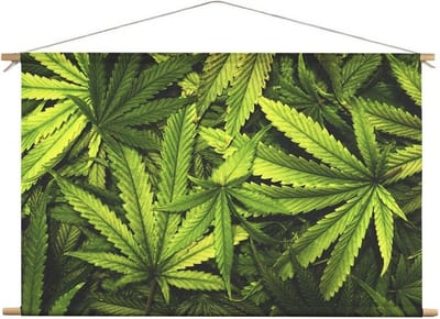 Wietplanten | 90 x 60 CM | Natuur |Schilderij | Textieldoek | Textielposter | Wanddecoratie