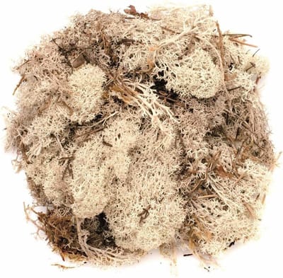 Decoratie nep mos - 2x - naturel - 50 gram - Hobby/knutselen - herfst/kerst thema decoreren - nature