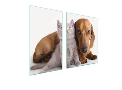 TMK ArtDeko - Snijplank - Glas - 100x52 cm - Dierenpatroon