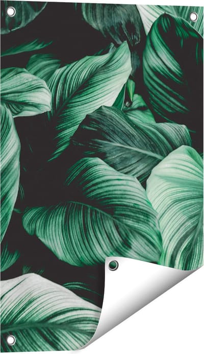 Gards Tuinposter Tropische Groene Bladeren - 40x60 cm - Tuindoek - Tuindecoratie - Wanddecoratie buiten - Tuinschilderij