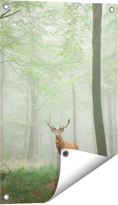 Gards Tuinposter Hert in Bos - 40x60 cm - Tuindoek - Tuindecoratie - Wanddecoratie buiten - Tuinschilderij
