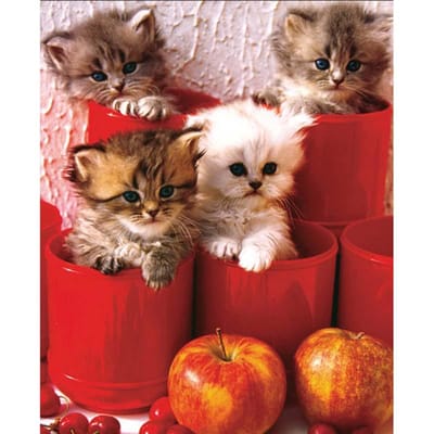 Diamond Schilderen Cup Kitten Volledige Ronde Diamant Borduren Kruissteek Muur Sticker Home Decor 20X30CM brown