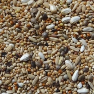 Vogro Eco  Agapornidenzaad grof - 1 kg.