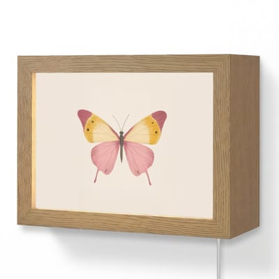 Wandlamp 20x15 cm - Oplaadbaar - Vlinder - Illustratie - Roze - Wandlampen binnen woonkamer - Slaapkamer lamp met kabel - Decoratieve nachtlamp - Vloerlamp snoer