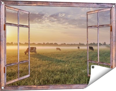 Gards Tuinposter Doorkijk Koeien in de Wei tijdens Zonsopkomst - 90x60 cm - Tuindoek - Tuindecoratie - Wanddecoratie buiten - Tuinschilderij