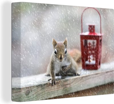 Canvas Schilderij Eekhoorn - Lantaarn - Sneeuwvlok - Winter - 160x120 cm - Wanddecoratie XXL