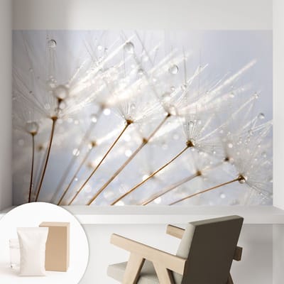 Coloray Behang - Roze paardenbloem Behangrol - 104x70 cm - Wit Behang - Voor natuurliefhebbers en liefhebbers van minimalisme - Behang Voor de slaapkamer, woonkamer en badkamer - Muurbehang Bloemen en planten