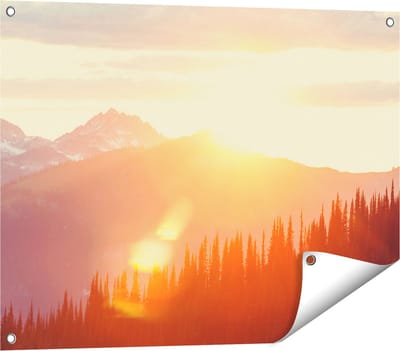 Gards Tuinposter Zonsondergang in het Bos - 80x60 cm - Tuindoek - Tuindecoratie - Wanddecoratie buiten - Tuinschilderij