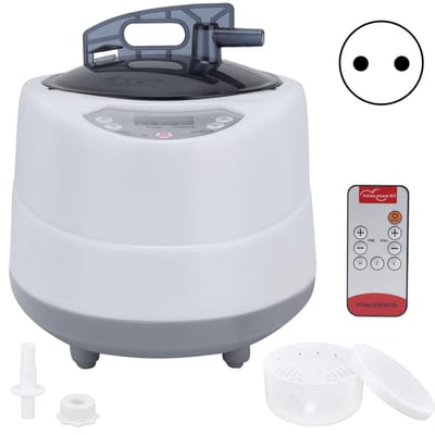 1000W huishoudelijke sauna stoompot 2.0L draagbare zweetspa stoompot voor lichaamsdetox AU stekker AC gray
