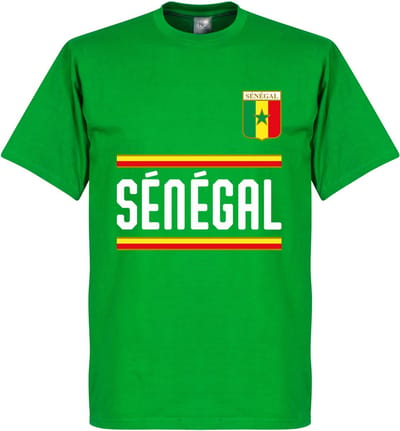 Senegal Team T-Shirt - XL