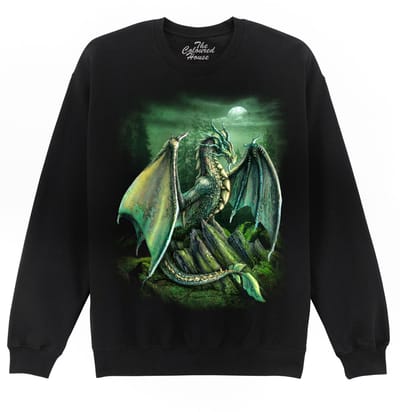 Draak Garwin Dragon The Coloured House Sweater M