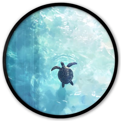 Poster in lijst Rond - Fotolijst 40x40 cm - Posters - Schildpad - Zee - Blauw - Schittering - Ronde posterlijst zwart - Decoratie - Wanddecoratie woonkamer - Muurdecoratie slaapkamer