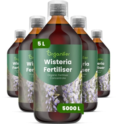 Vloeibare Meststof Voor Wisteria - 5X1 L Voor 5000 L - Npk 2-1-8 - Bevordert Uitbundige Bloei En De Vorming Van Bloemsporen - Versterkt Houtige Klimplanten En Verbetert De Stabiliteit - Bevordert Langdurige Vitaliteit En Sierwaarde - Organifer