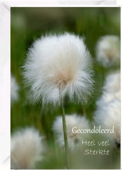 Premium Cadebo Luxe Condoleance kaart - Rouwkaart - Sterktekaart - Met Oprechte Deelneming - Gevouwen kaart met envelop - 17x12cm