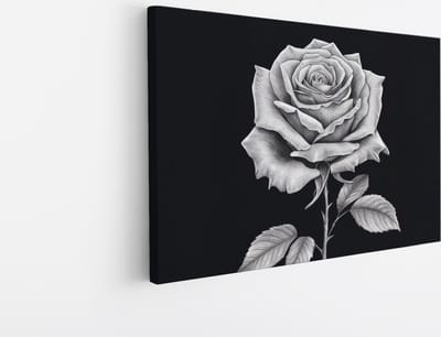 Saammp Canvas Schilderij - Monochroom Roos - Bloemen - Natuur - Abstract - 30x20 - Foto op canvas - Wanddecoratie - Muurdecoratie Woonkamer - Kantoor Decoratie
