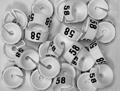 Bleijenberg Maatdopje maat 58 wit - Maataanduiding voor kledinghangers per 25 stuks - Maatringetje Ø 20 mm - Kledinghangers - Kleerhanger - Kapstok - Mark-Brics - wisersizer