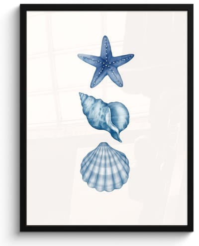Poster in lijst - Fotolijst 50x70 cm - Posters - Zeester - Schelpen - Blauw - Posterlijst zwart - Decoratie - Wanddecoratie woonkamer - Muurdecoratie slaapkamer
