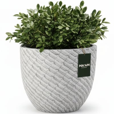 MA'AM Pottery Mira bloempotten voor buiten wit rond D24 cm - strepen