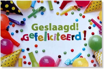 Geslaagd Wenskaart Slingers & Ballonnen - 12x17cm - Gevouwen kaart inclusief envelop - Diploma Gehaald