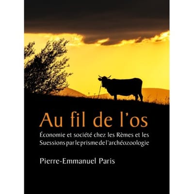 Au Fil De L’os - Pierre-Emmanuel Paris