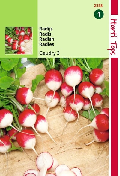 2 stuks Hortitops Radijs Gaudry 3, Ronde Rode Witpunt
