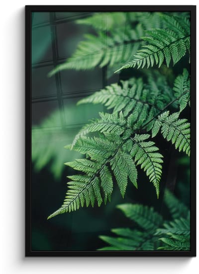 Poster in lijst - Fotolijst 60x90 cm - Posters - Varenblad - Groen - Structuur - Wazig - Posterlijst zwart - Decoratie - Wanddecoratie woonkamer - Muurdecoratie slaapkamer